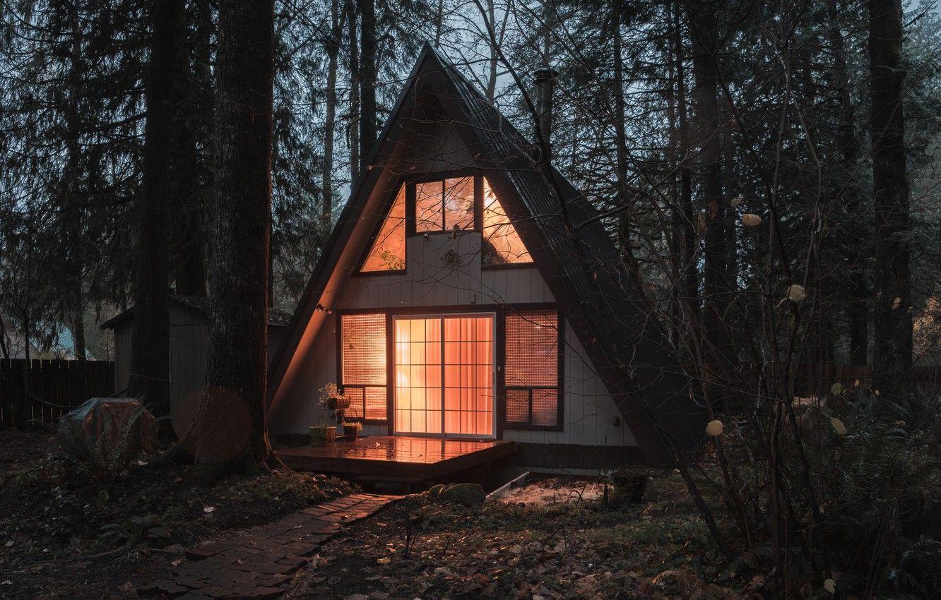 1332x850 Wallpaper lights, house, forest, sky, trees, nature, dead, autumn, leaves, landscapes, evening, comfort, architecture, branches, cabin, dry image for desktop, section пейзажи