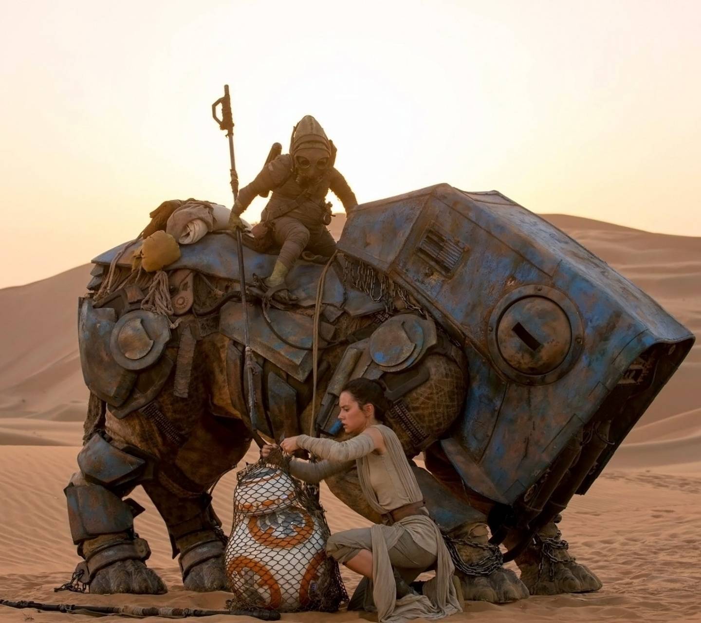 1440x1280 Rey and BB8 wallpaper