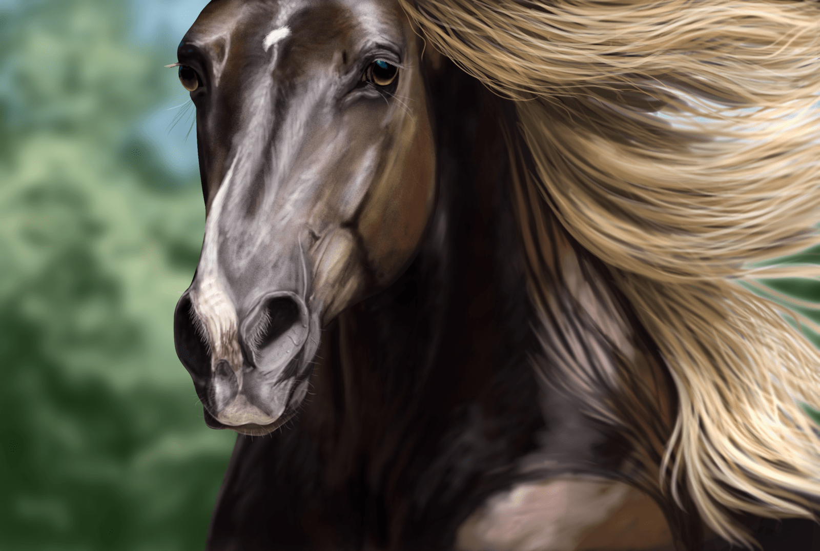 1600x1075 Haflinger Horse Wallpaper HD 19342