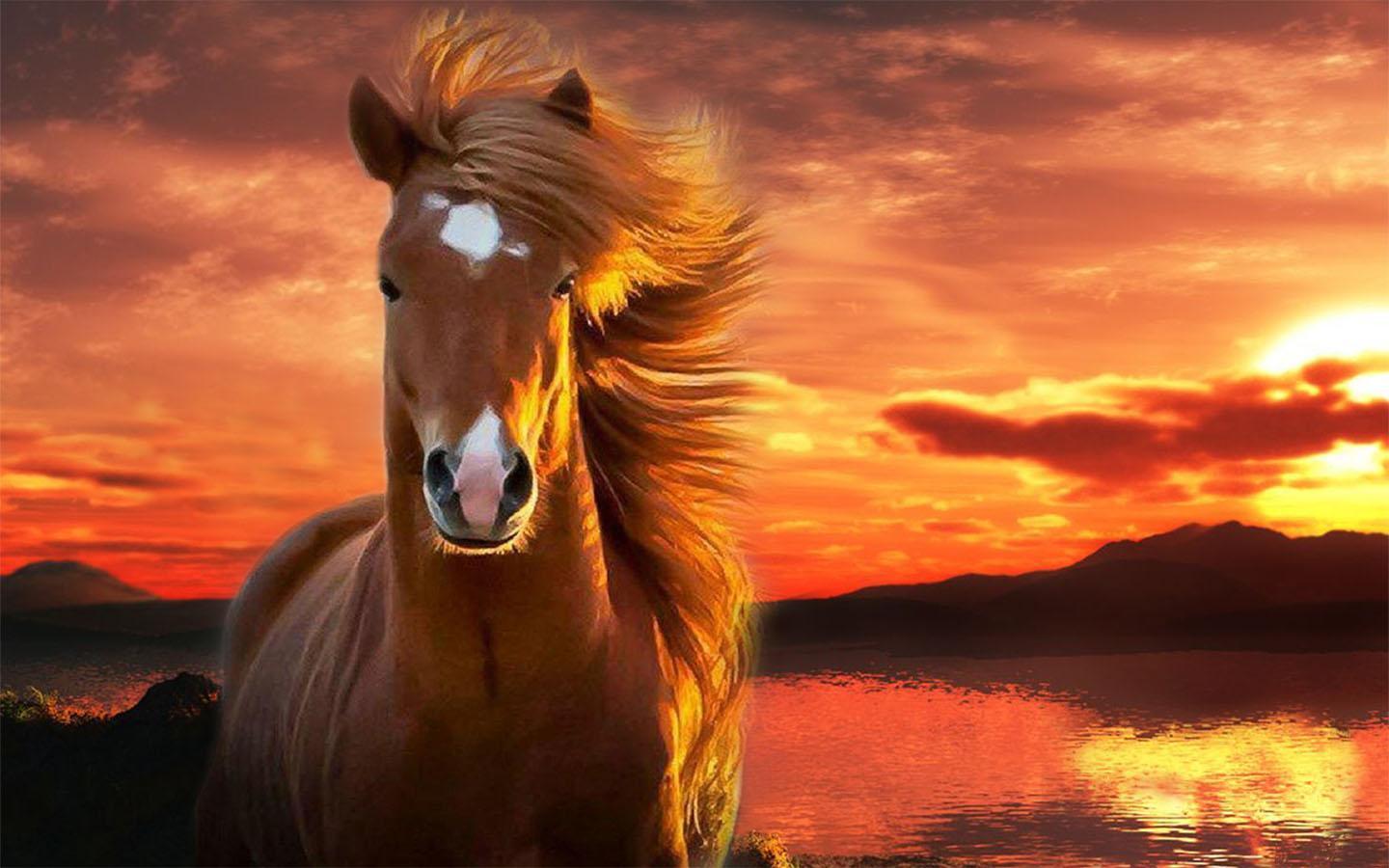 Realistic Horse Wallpapers Top Free Realistic Horse Backgrounds
