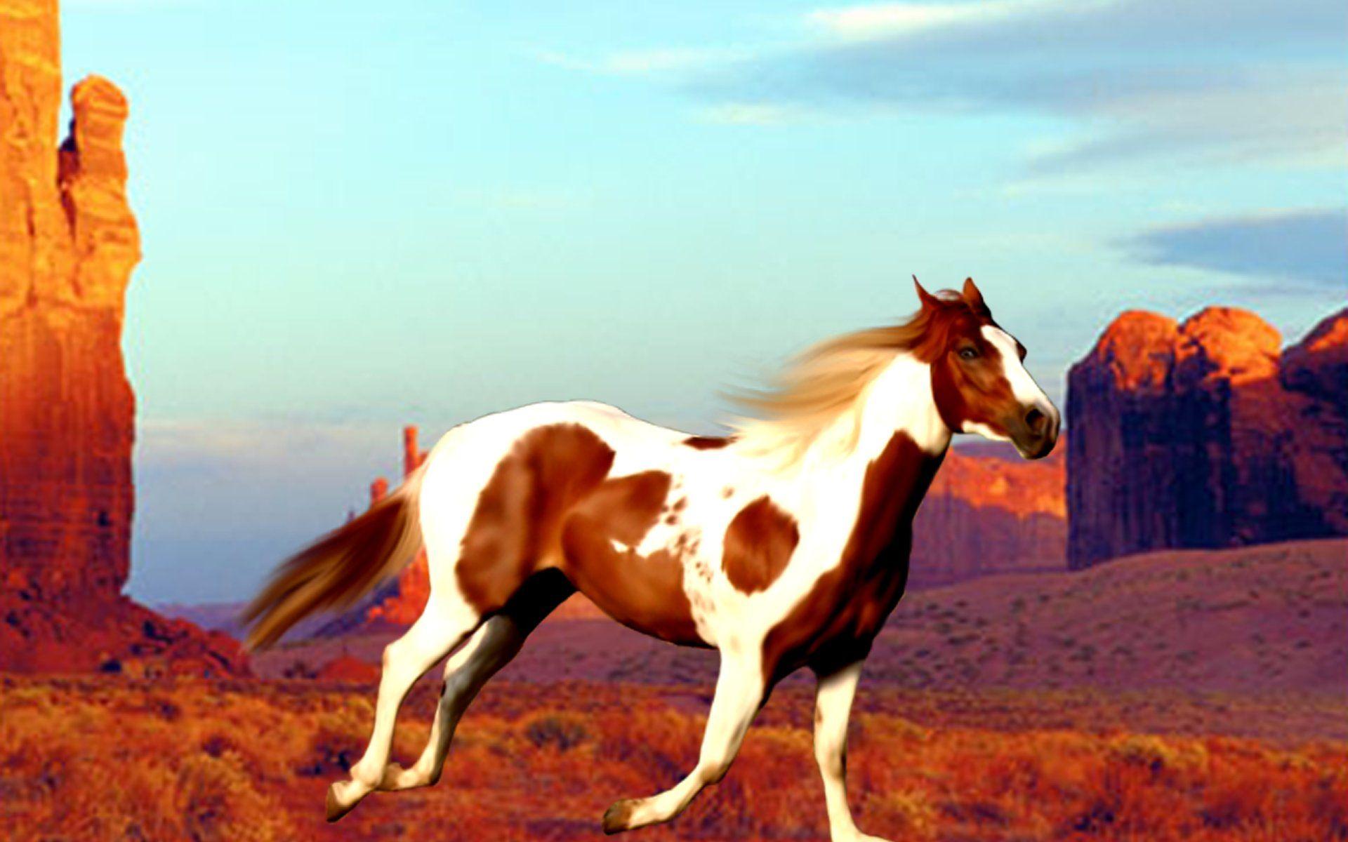 1920x1200 Paint Horse Wallpaper