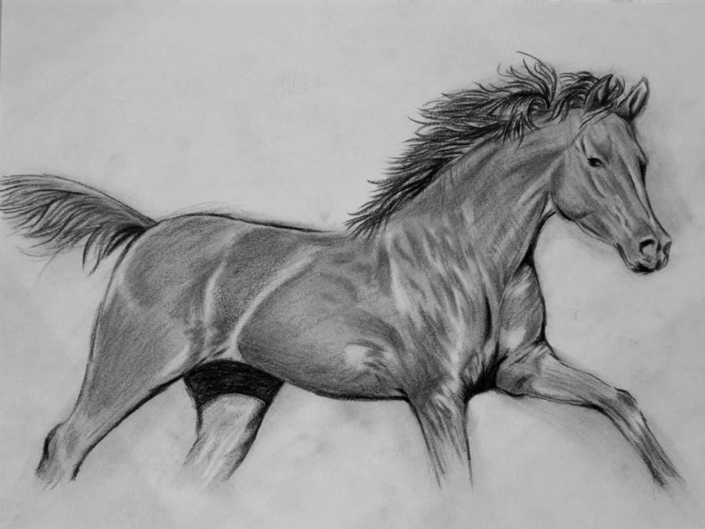 1024x768 Realistic Horse Step by step Video for beginners