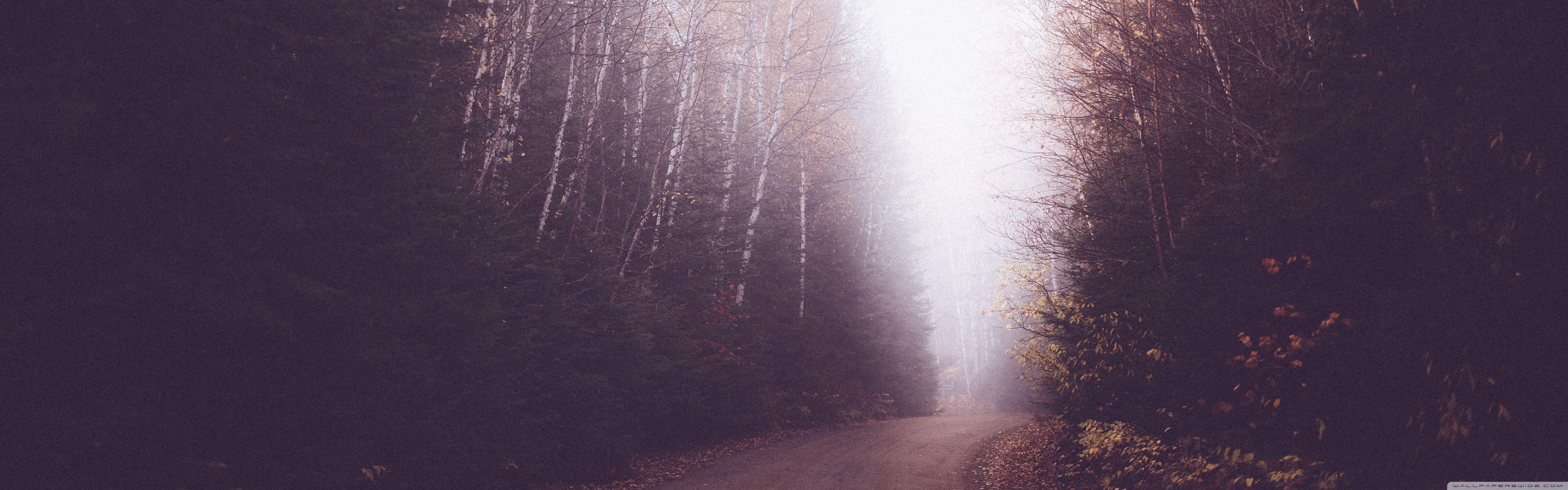 5120x1600 Vintage Foggy Forest Road Ultra HD Desktop Background Wallpaper