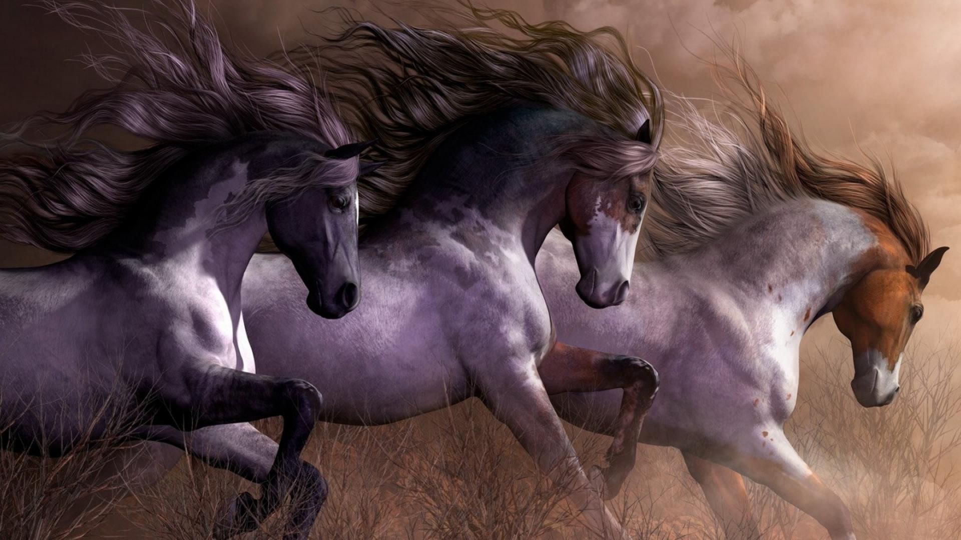 1920x1080 Horse For paintings