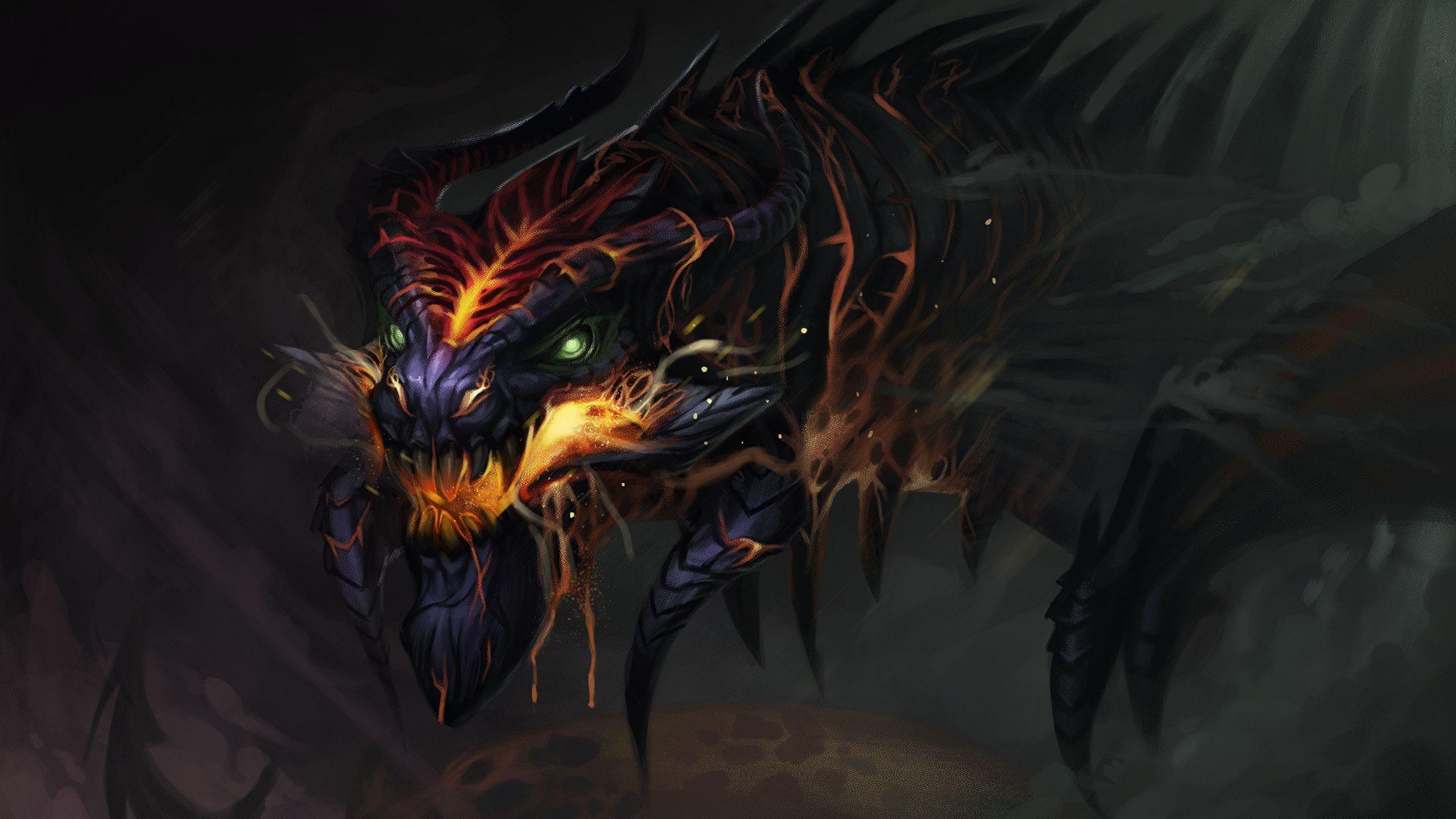 2560x1440 Photos dragon Fantasy 2560x1440