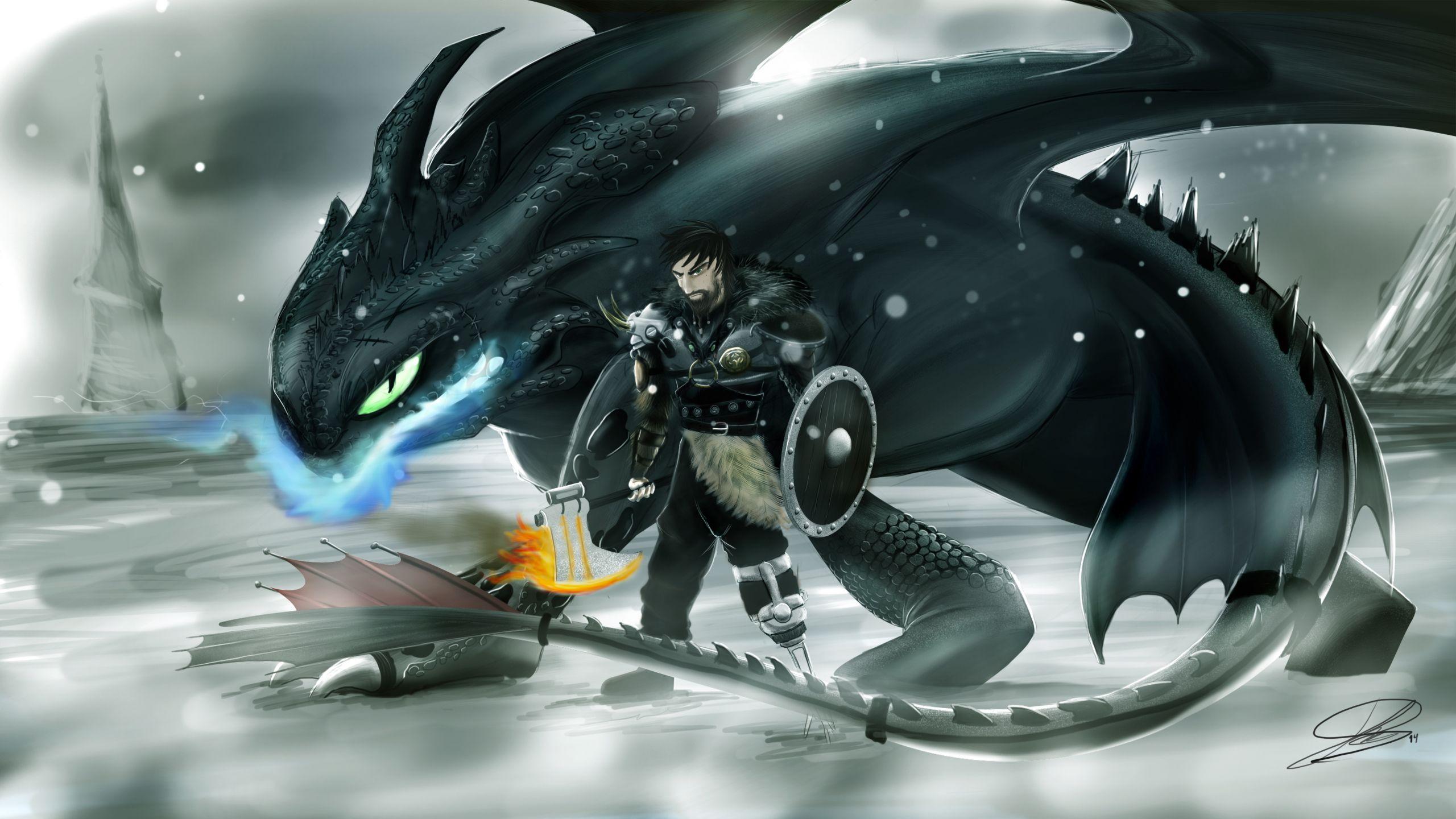 2560x1440 Download 2560x1440 wallpaper dragon, hiccup, how to train your dragon, warrior, art, dual wide, widescreen 16: widescreen, 2560x1440 HD image, background, 9417