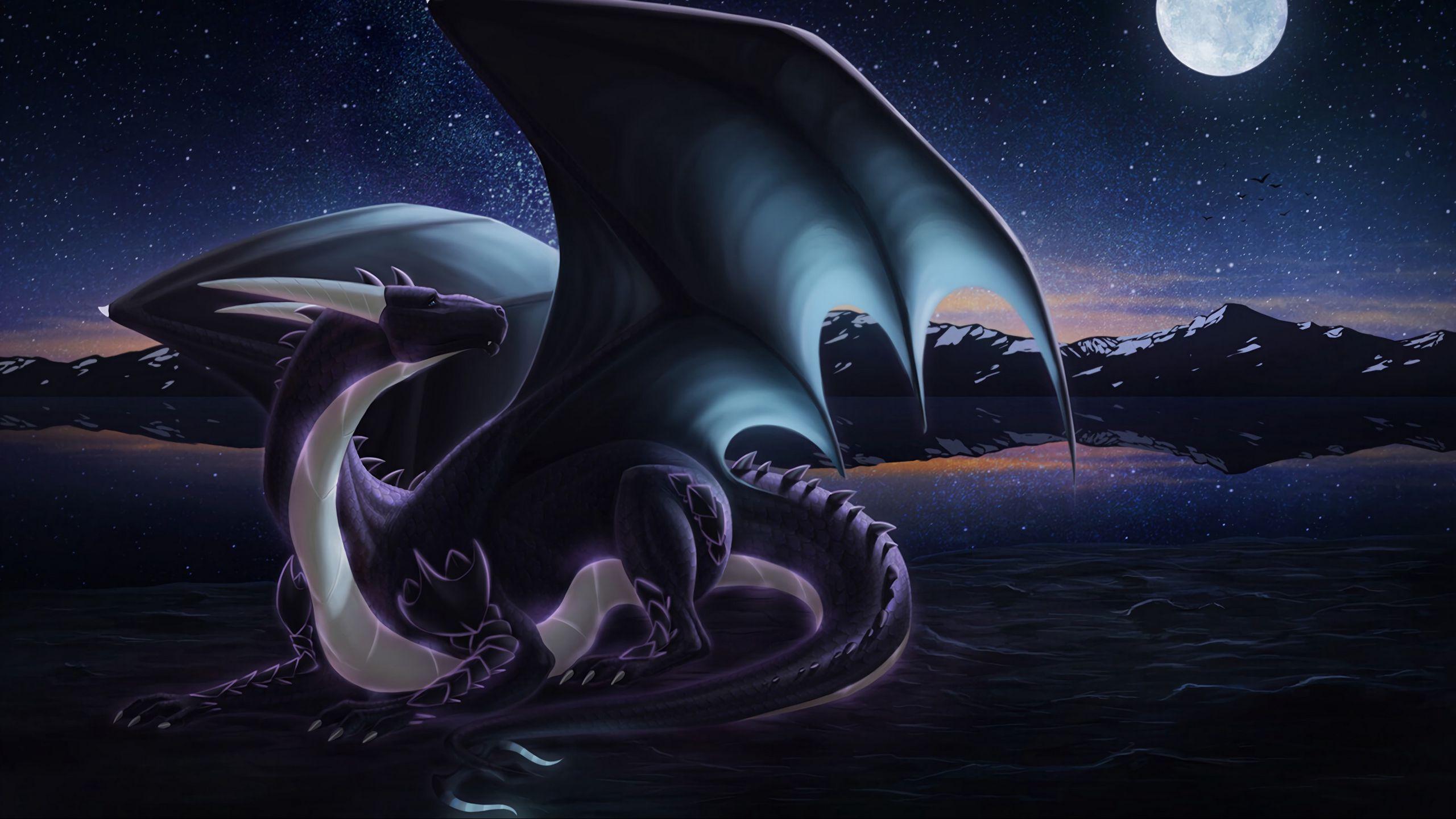 2560x1440 Download wallpaper 2560x1440 dragon, creature, fantastic, night, art widescreen 16:9 HD background