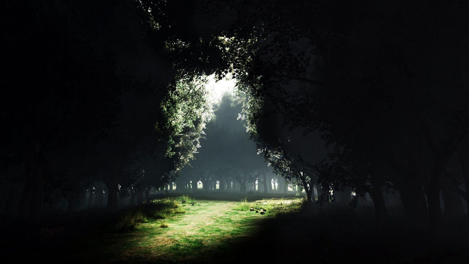 1920x1080 Sun Light Between Dark Forest desktop PC and Mac wallpaper