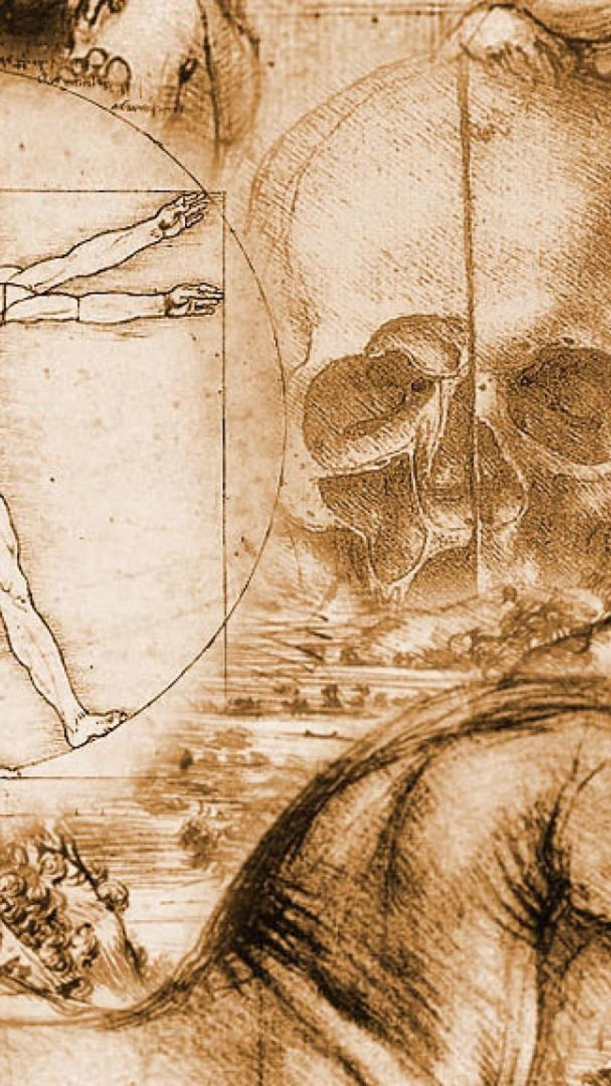 1242x2208 Da Vinci Wallpaper. Drawing wallpaper, Drawings, Da vinci art