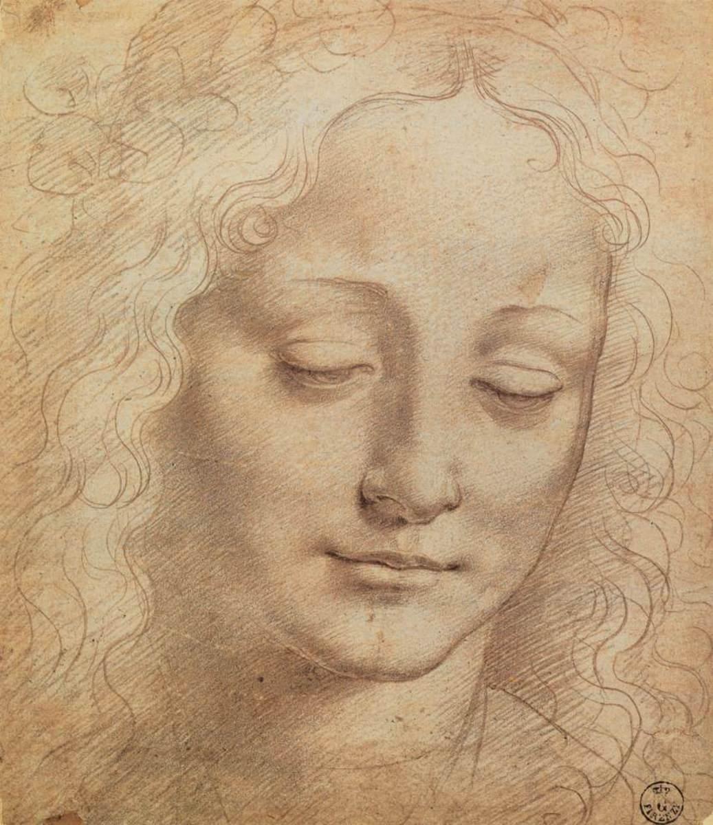 1037x1200 Leonardo Da Vinci Wallpaper for Android