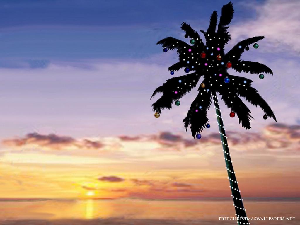 Florida Christmas Wallpapers Top Free Florida Christmas Backgrounds