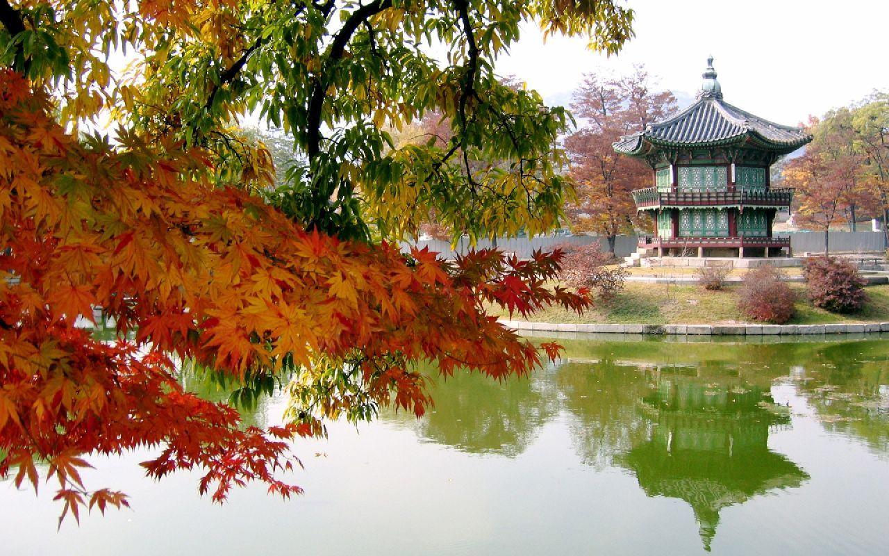 Korean Autumn Wallpapers - Top Free Korean Autumn Backgrounds ...