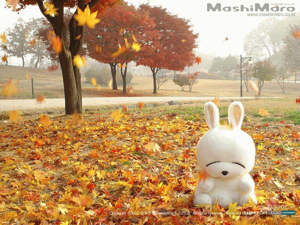1024x768 Free download mashimaro Korean Wallpaper12 Cool Wallpaper