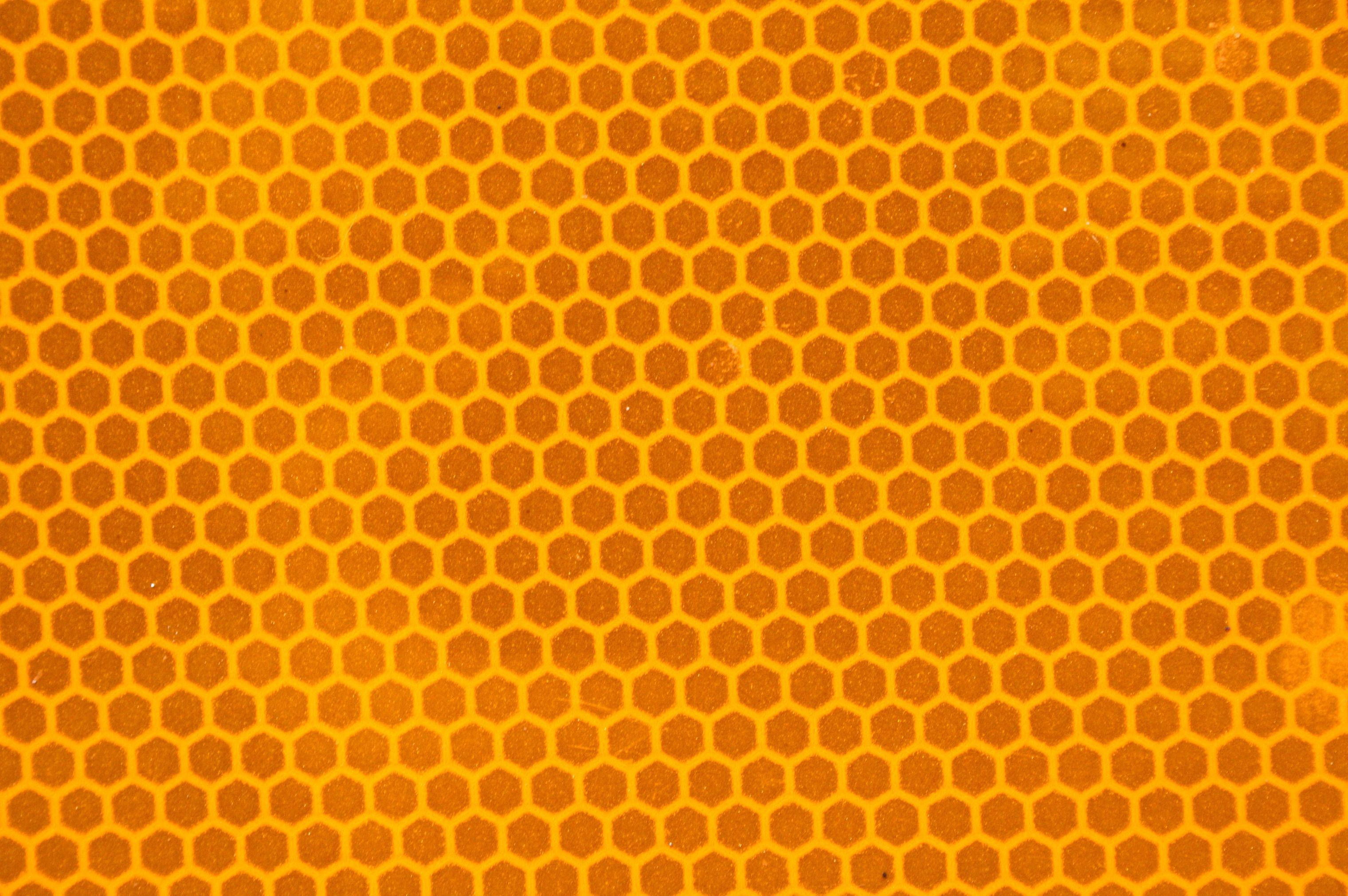 3040x2021 Download wallpaper: honey honeycomb, download photo, desktop