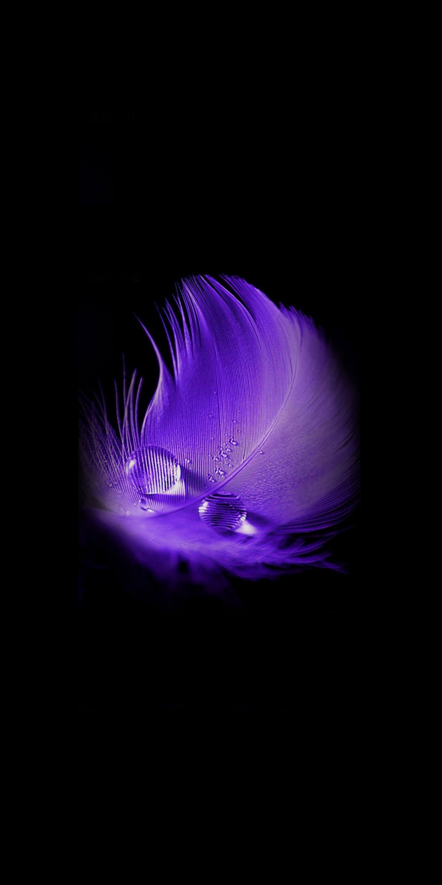 1440x2880 Download Purple feather, drops, portrait wallpaper, 1440x LG