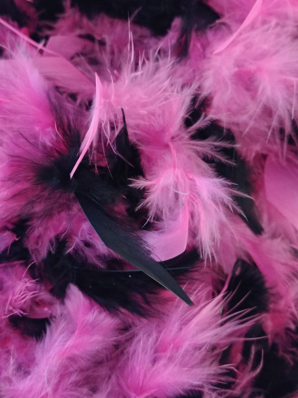 960x1280 Pink Black Feathers wallpaper