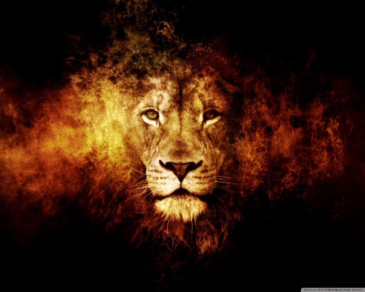 1177x942 3D Lion Wallpaper Download
