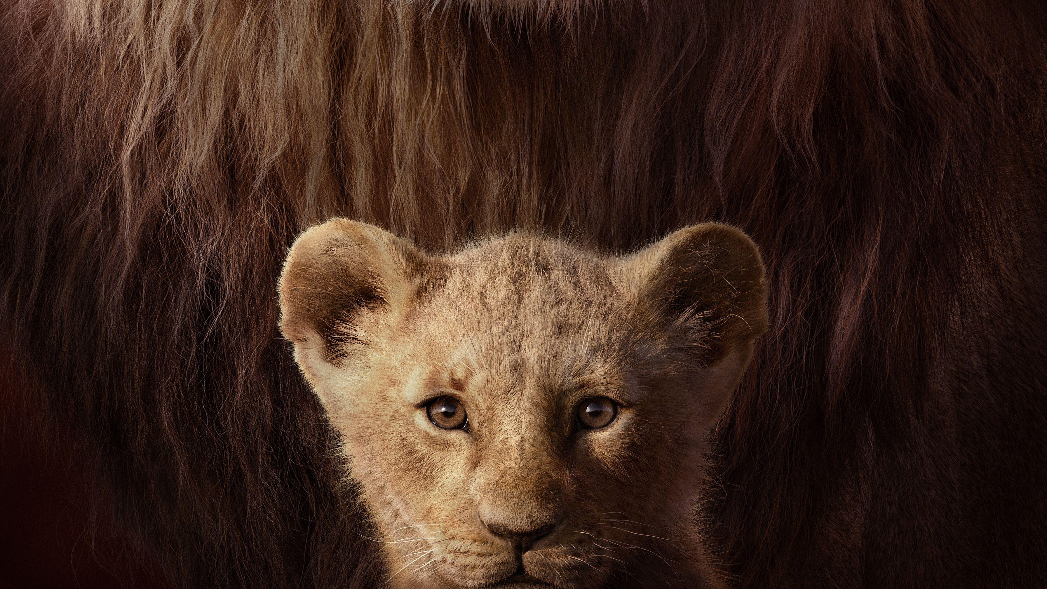 3587x2018 The Lion King Key Art 4k, HD Movies, 4k Wallpaper, Image, Background, Photo and Picture