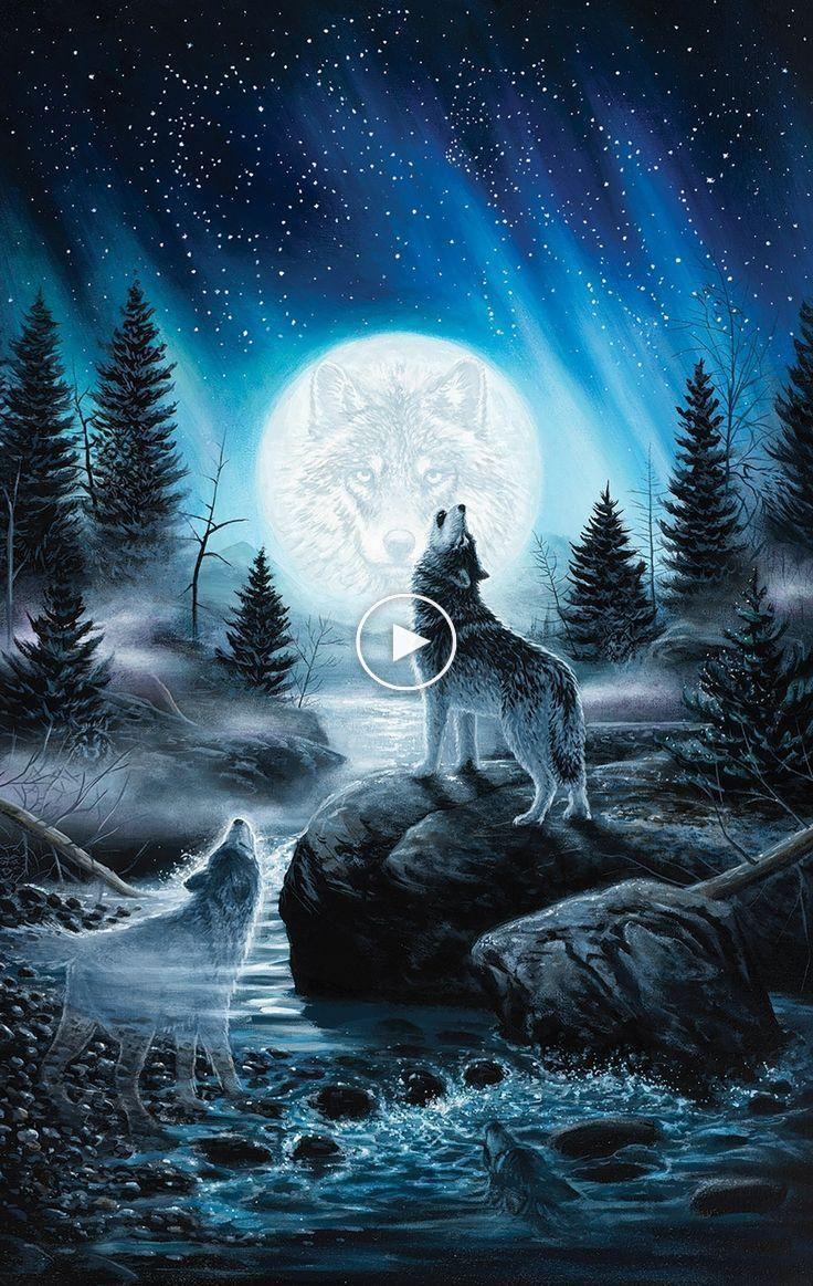 736x1163 Howling Wolf Wallpaper iPhone #iphonewallpaper #phonewallpaper