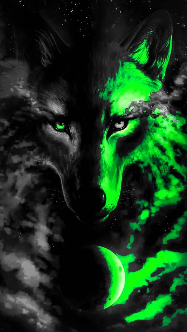 720x1280 Wolf iPhone Wallpaper Free HD Wallpaper