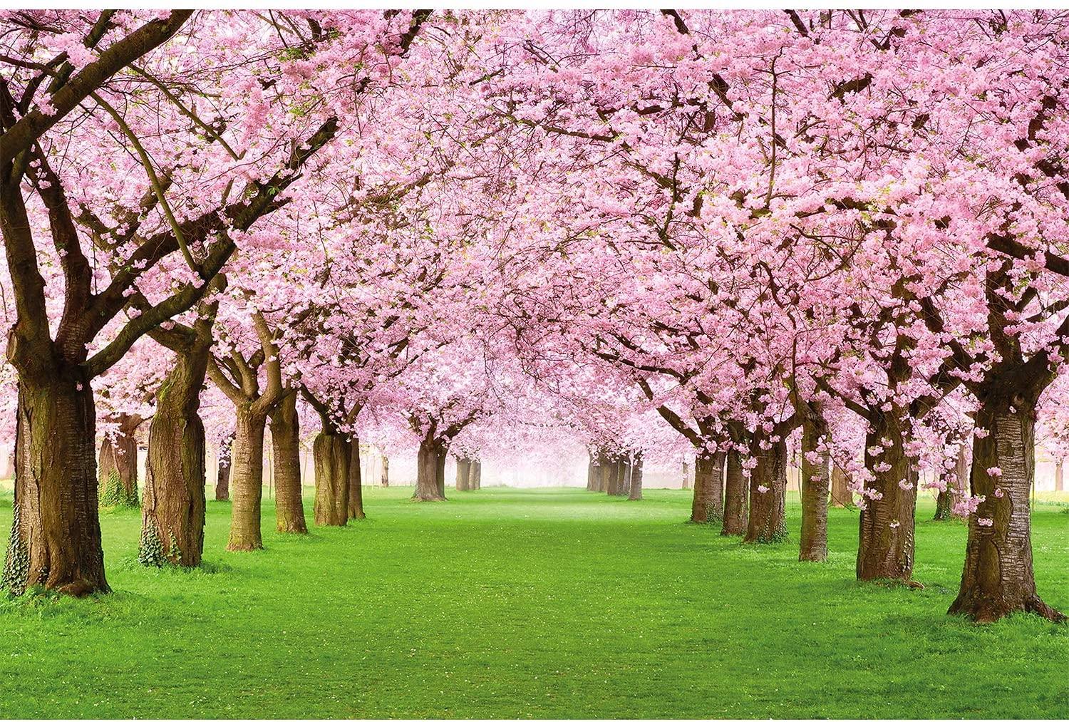 1500x1013 Photo Wallpaper