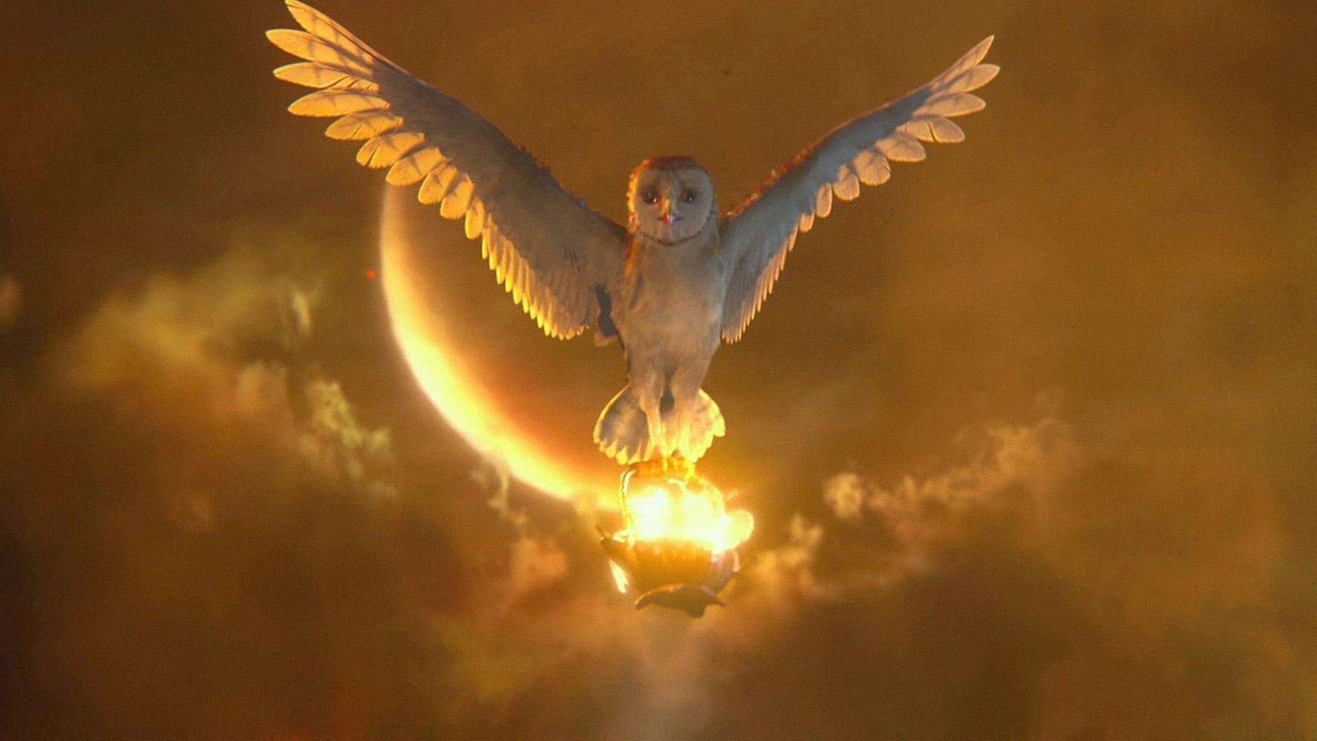 1920x1080 image of spiritual owls. The Owls have visited. Owl, Legend
