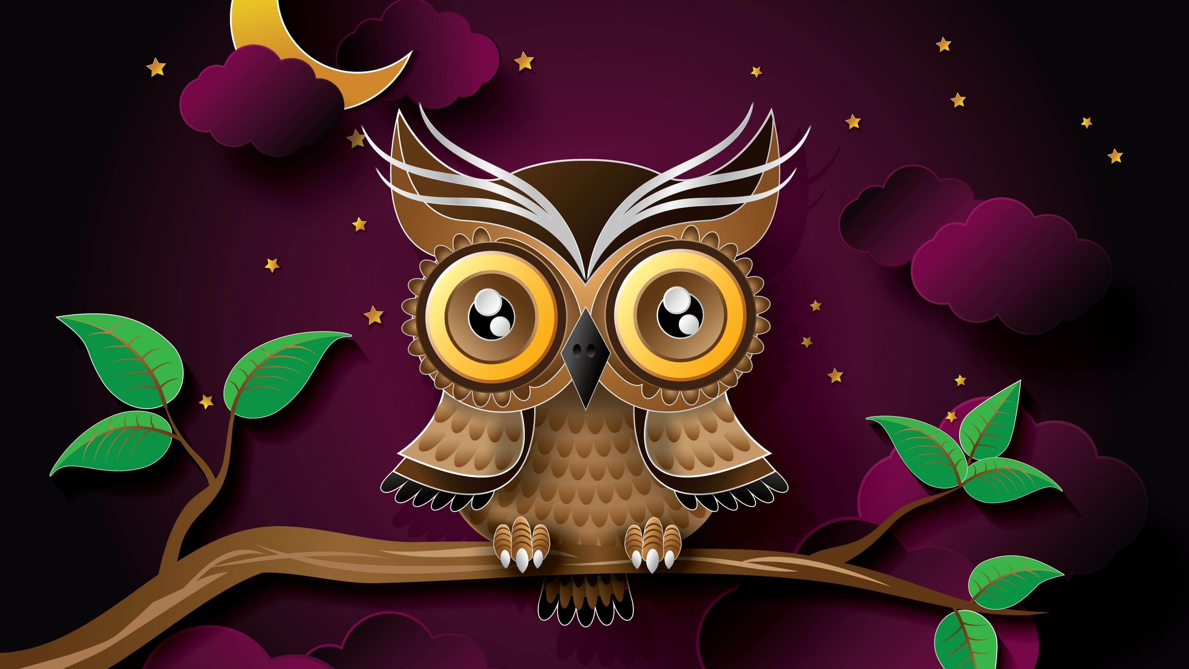 3840x2160 4K Owl Wallpaper