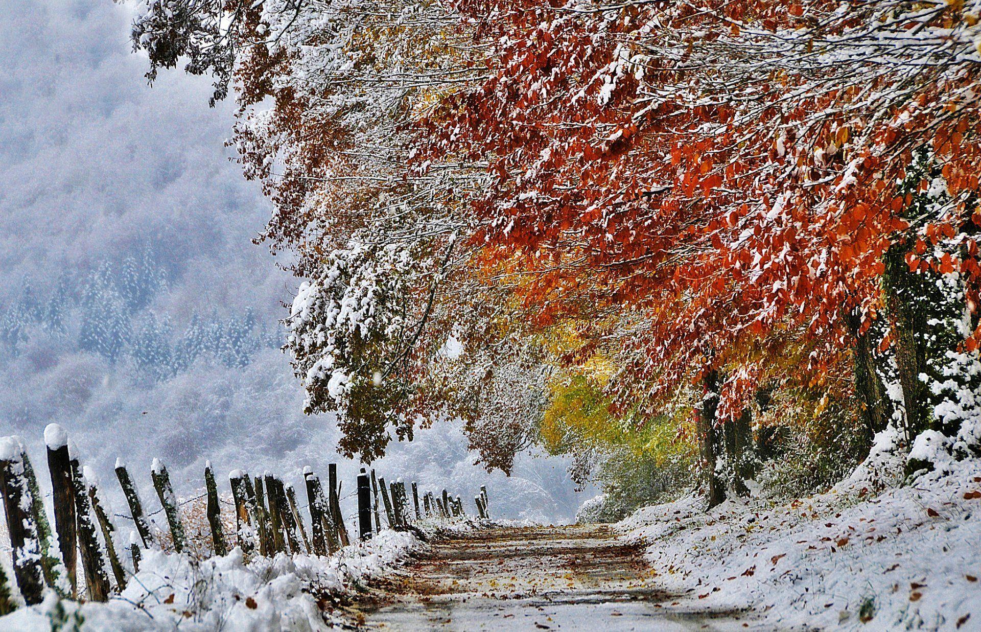 1920x1237 thiên nhiên pháp mùa thu tháng mười một tuyết hình nền HD