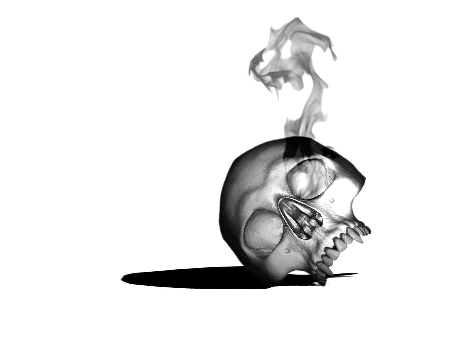 1600x1200 White Skull Wallpaper