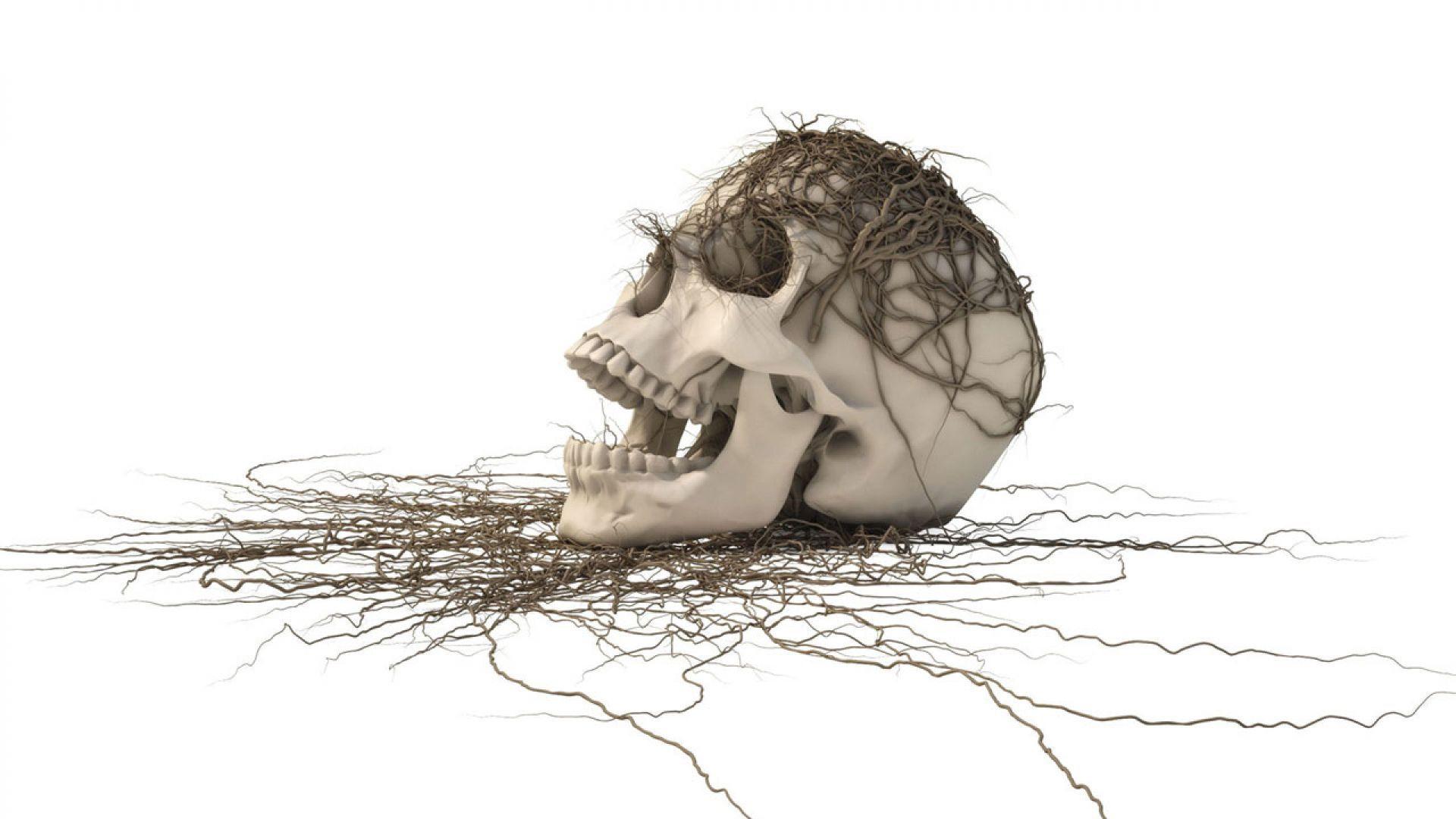 1920x1080 3D White Skull Wallpaper and Abstract Wallpaper. All is Wall
