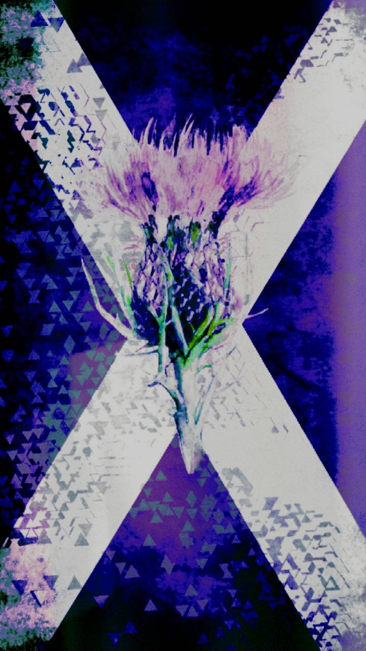719x1280 Scotland flag wallpaper