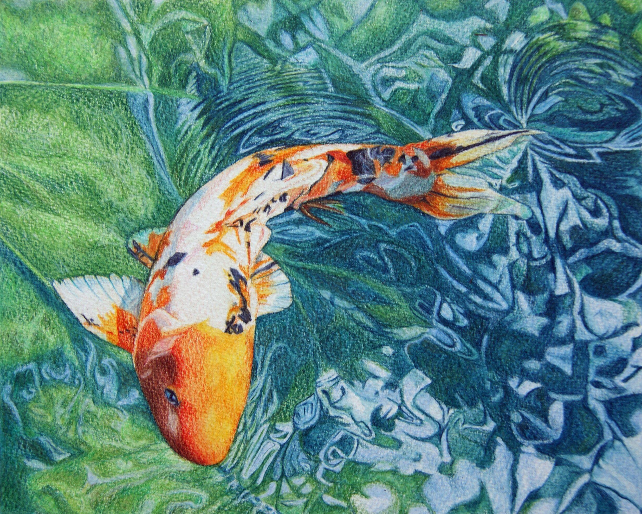 Japanese Koi Fish Art Wallpapers - Top Free Japanese Koi Fish Art