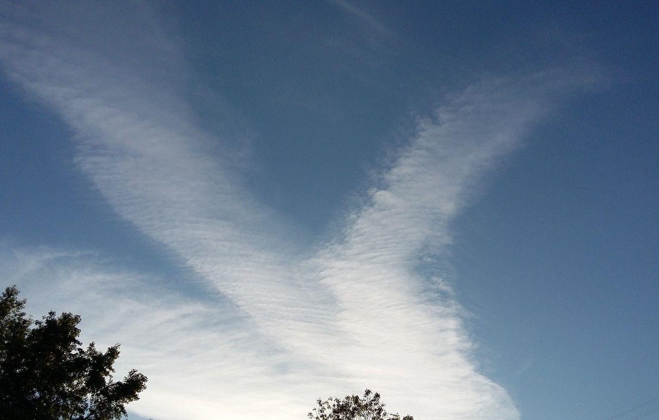 1332x850 Wallpaper the sky, blue, cloud, heavenly wings image for desktop