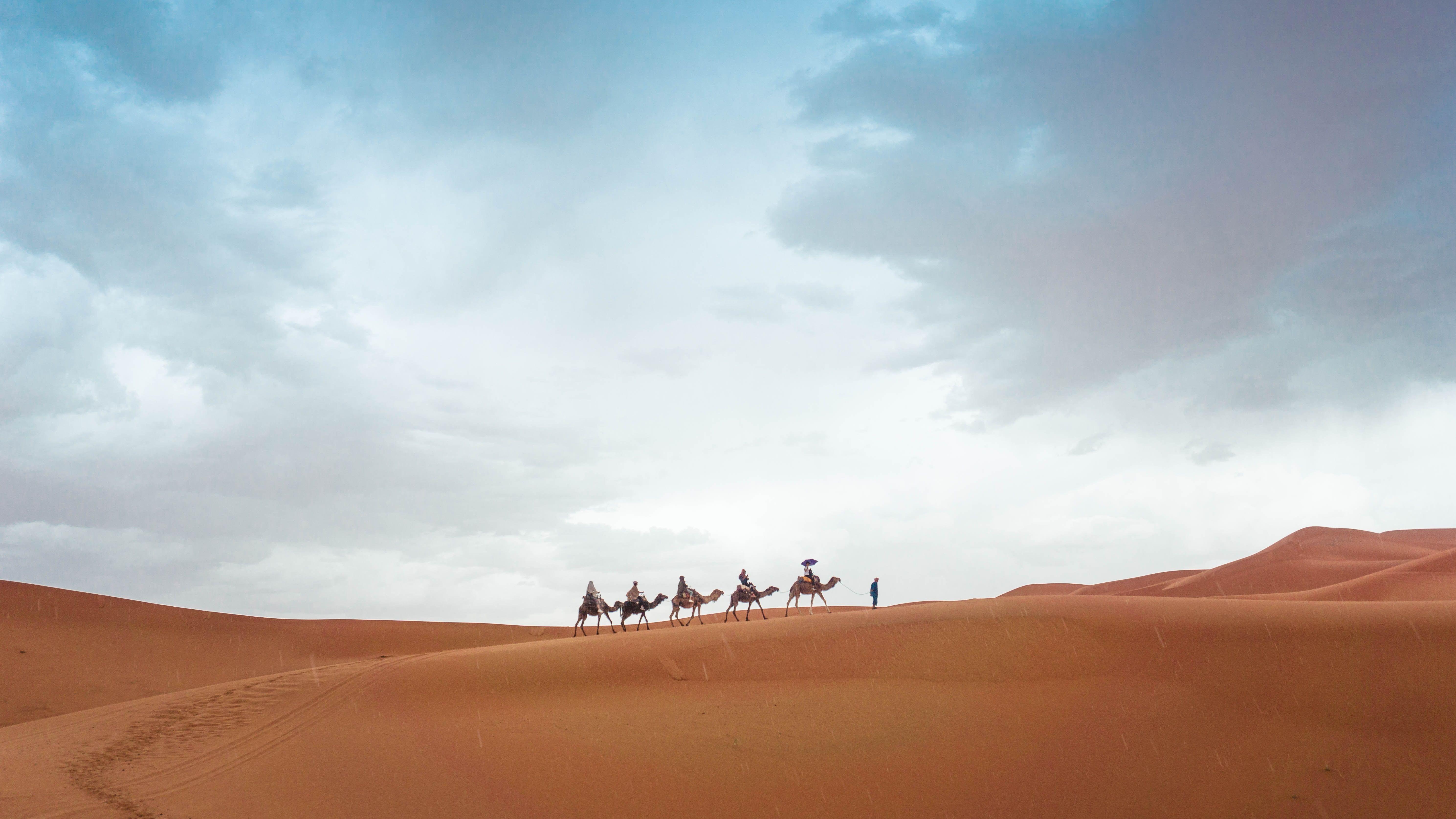 5956x3351 5956x3351 caravan, adventure, sky, camel, rain, sahara