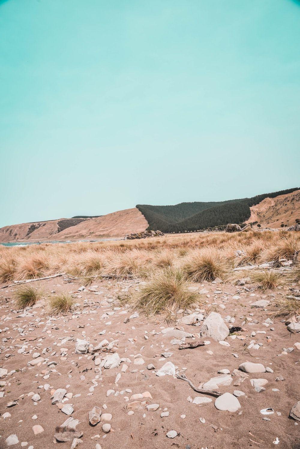 1000x1498 Desert Rain Picture. Download Free Image