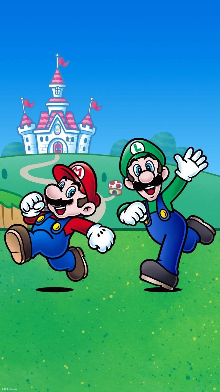 Mario And Luigi posted by Ryan Sellers mario luigi HD wallpaper  Pxfuel
