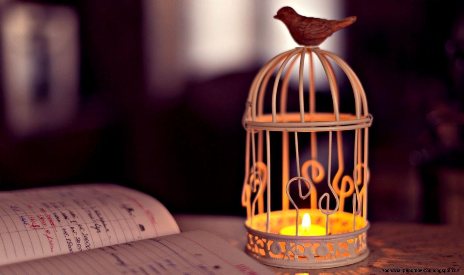 1596x945 Lanterns Lights Photo HD Wallpaper. Free High Definition Wallpaper
