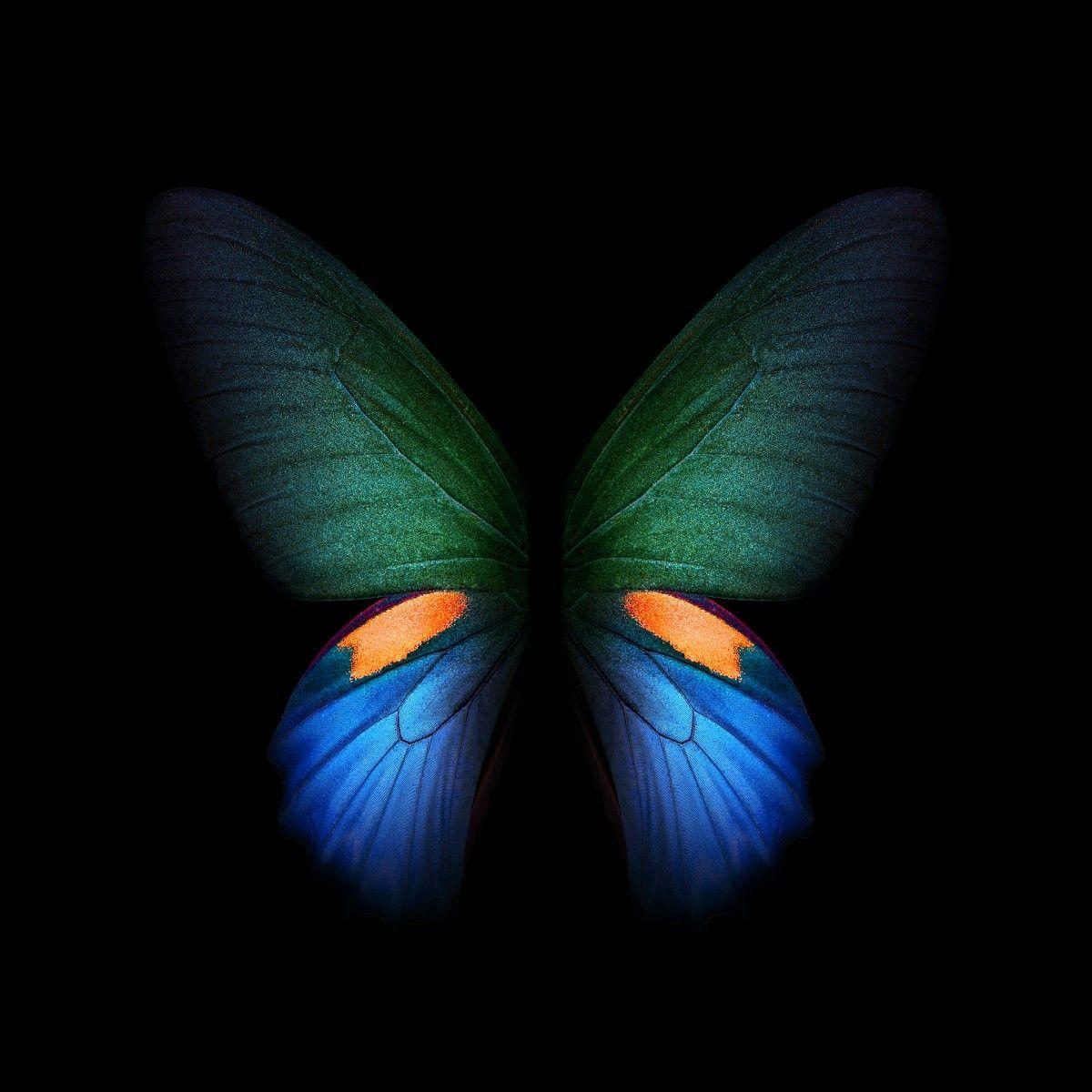 1200x1200 Download Complete Samsung Galaxy Fold Wallpaper