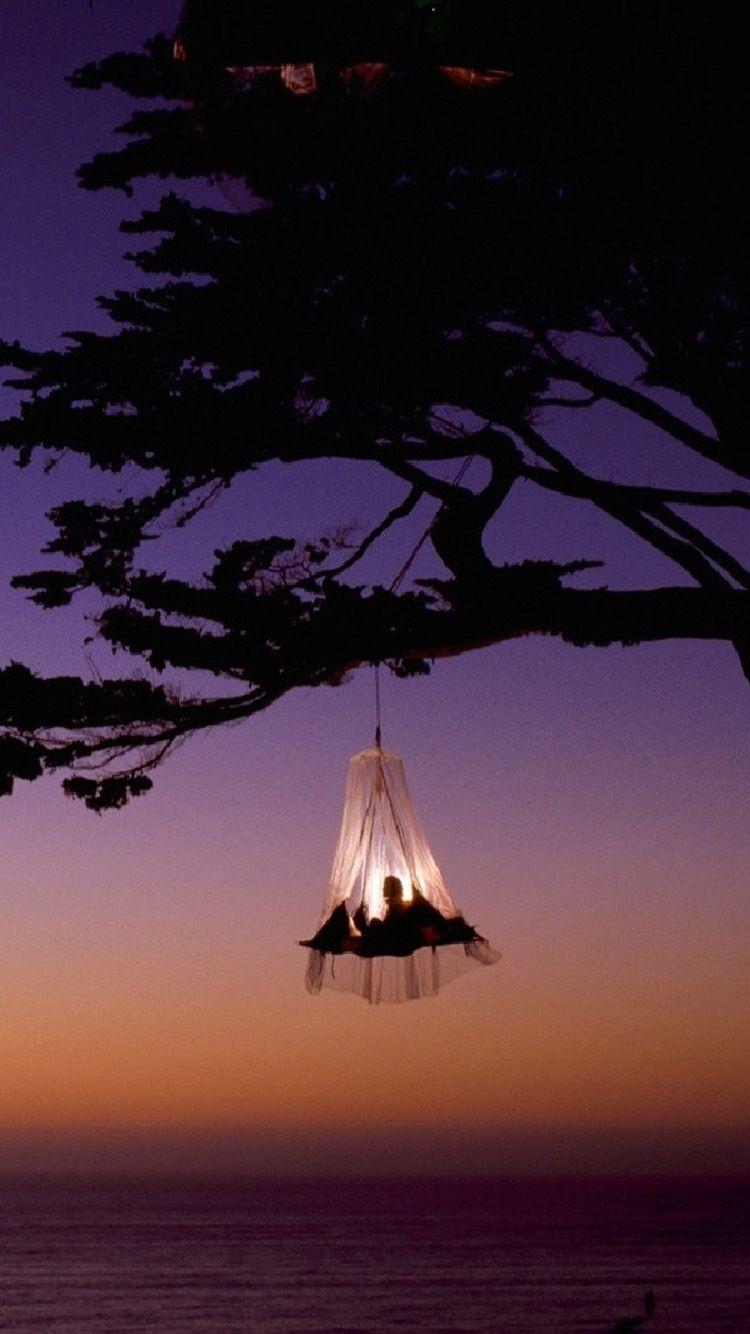 750x1334 Valentine tree Africa Hotels Free Download Wallpaper for Phone