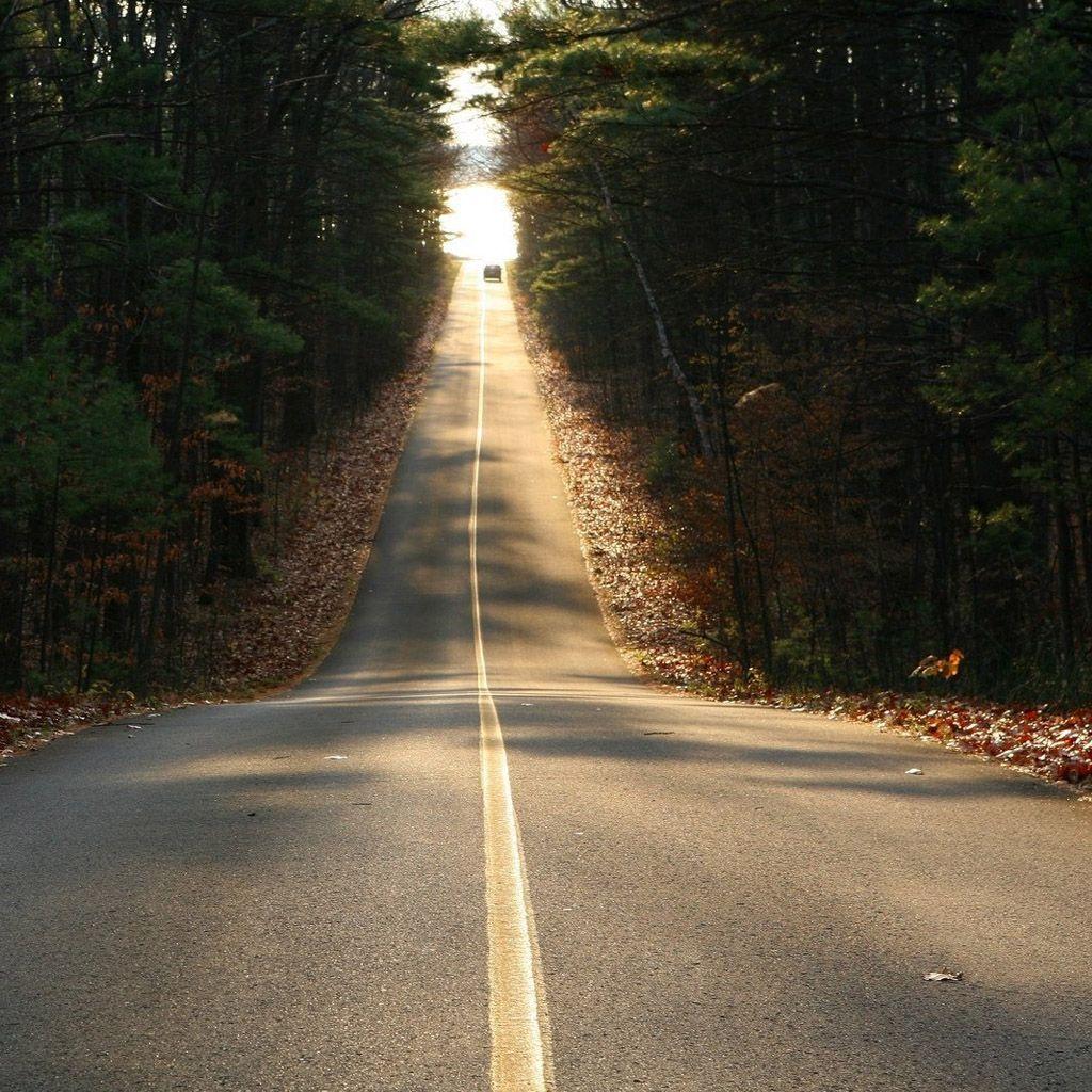 1024x1024 Road to the Beach iPad Wallpaper Free Download