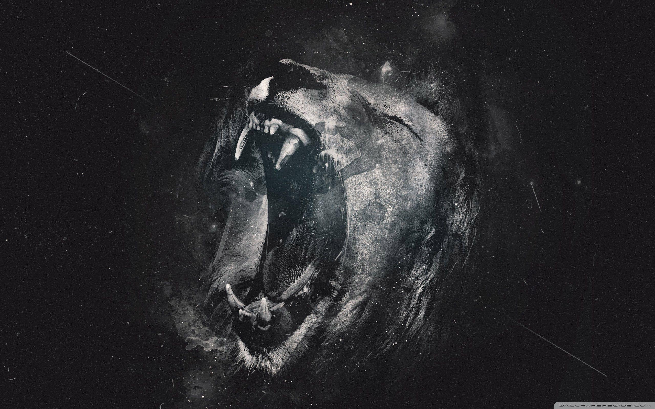 2560x1600 Roar Ultra HD Desktop Background Wallpaper for 4K UHD TV : Tablet