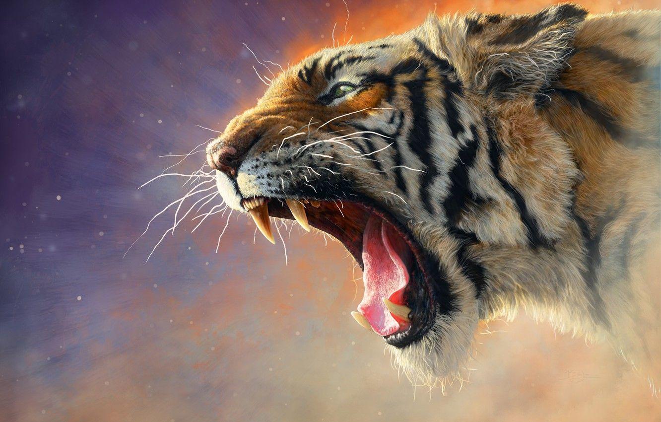 1332x850 Wallpaper Cat, Tiger, Cat, Mouth, Fangs, Face, Predator, Tiger