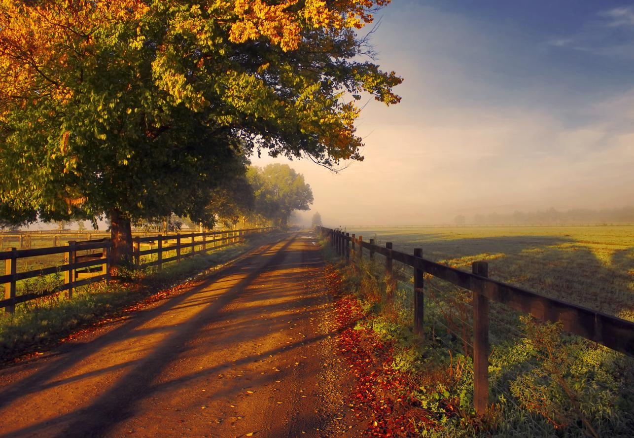 1286x888 Autumn Dirt Road Wallpaper FREE HD WALLPAPERS