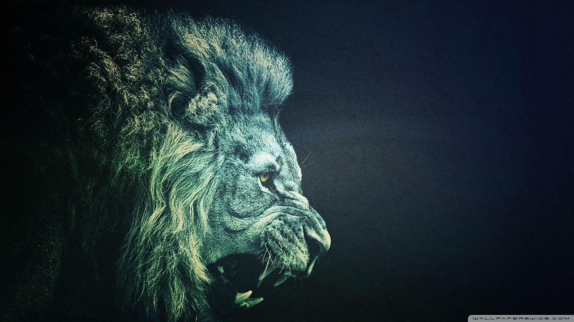 1920x1080 White Lion Roar wallpaper. 1600×900 White Lion Image. Adorable