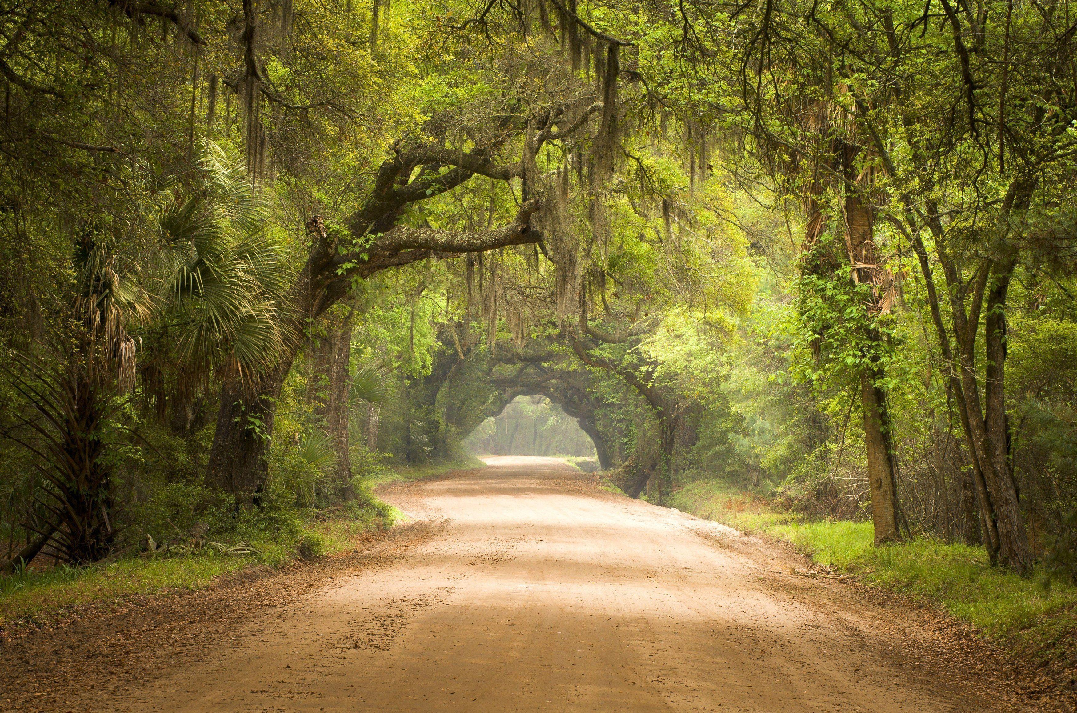 3500x2317 Dirt Road HD Wallpaper and Background Image