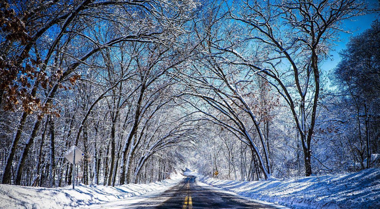 1274x700 Winter road trees landscape wallpaperx2690