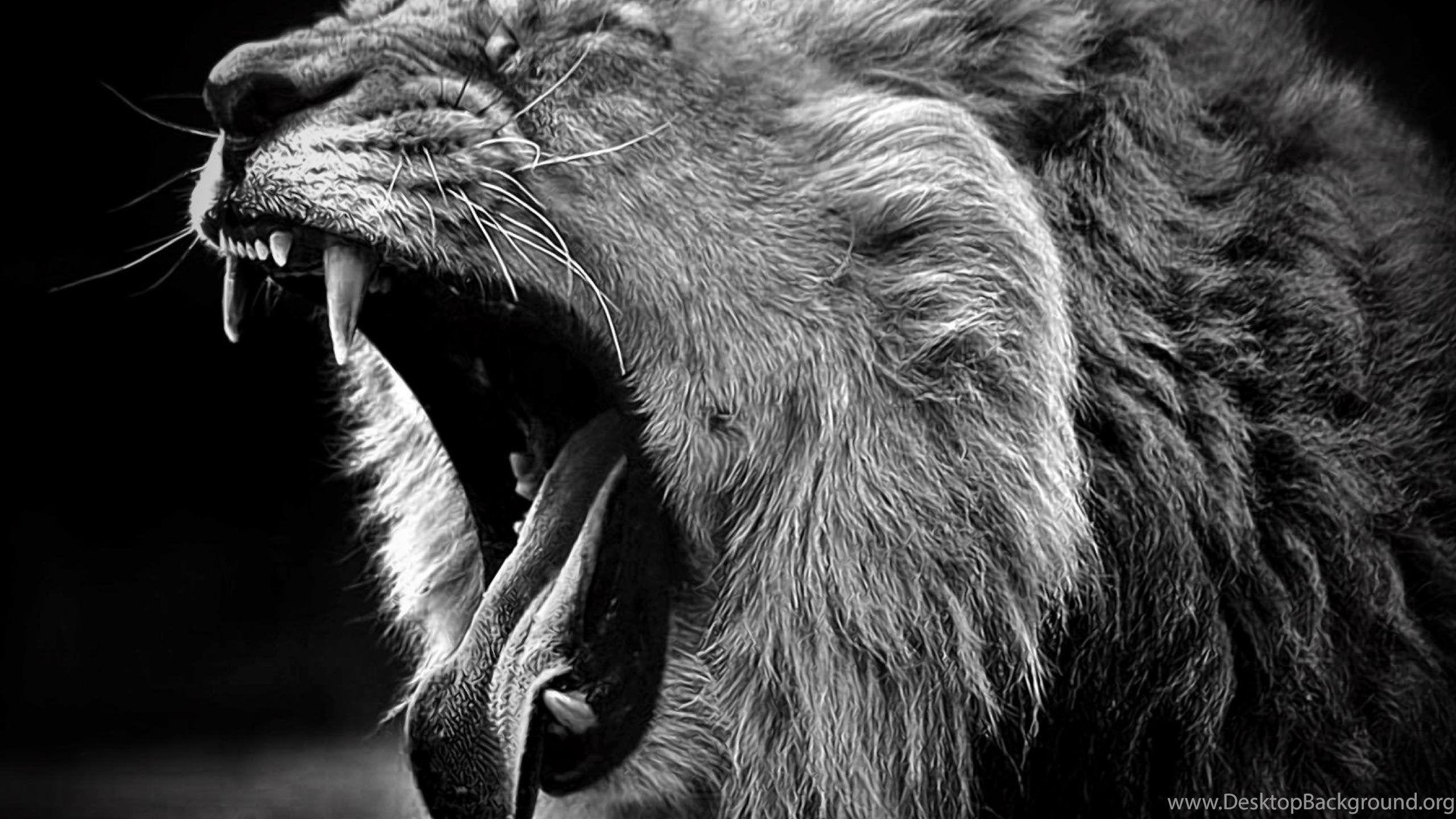2560x1440 Lion Roar Wallpaper HD Resolution Desktop Background