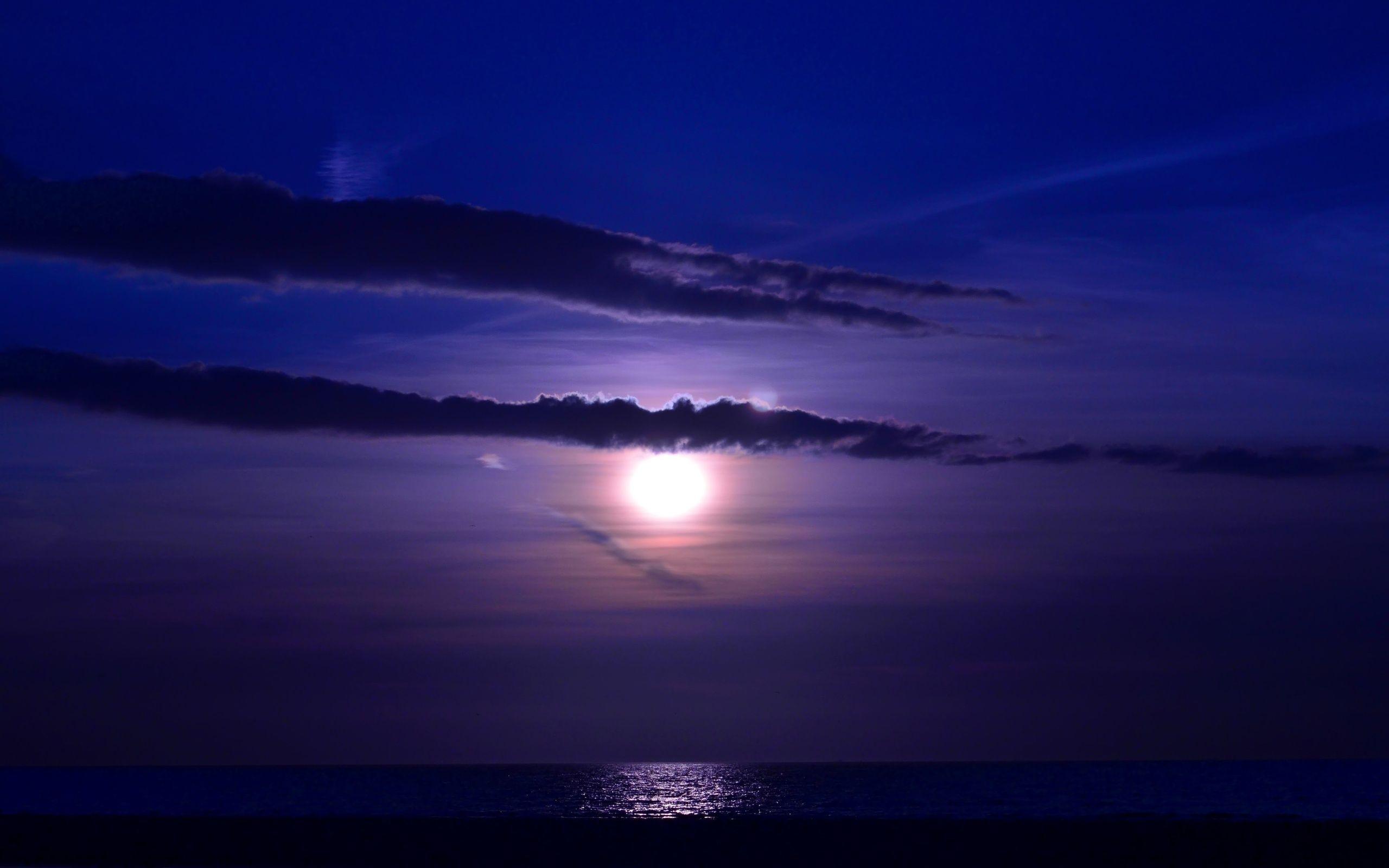 Night By The Sea Scan Vf