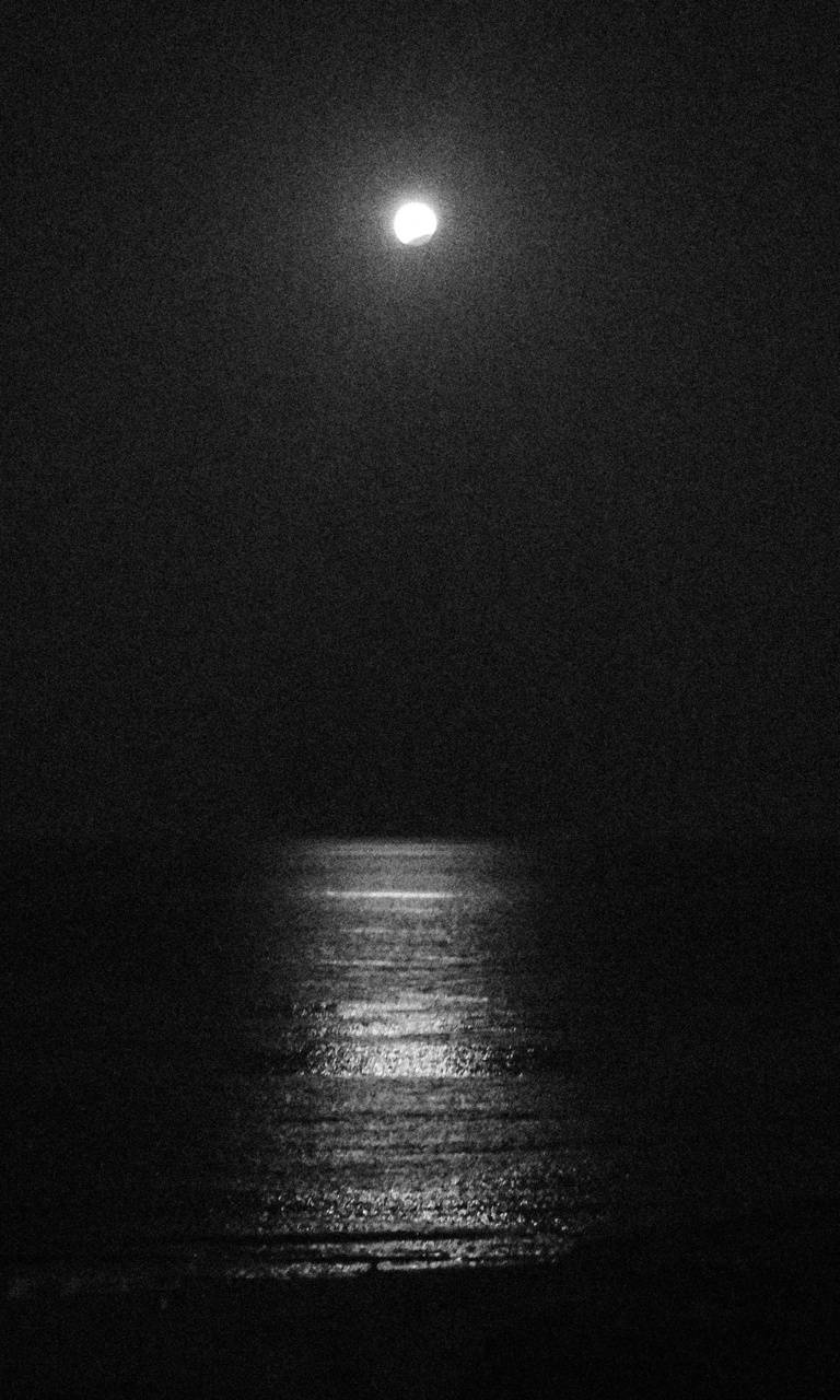 768x1280 Moon and sea wallpaper