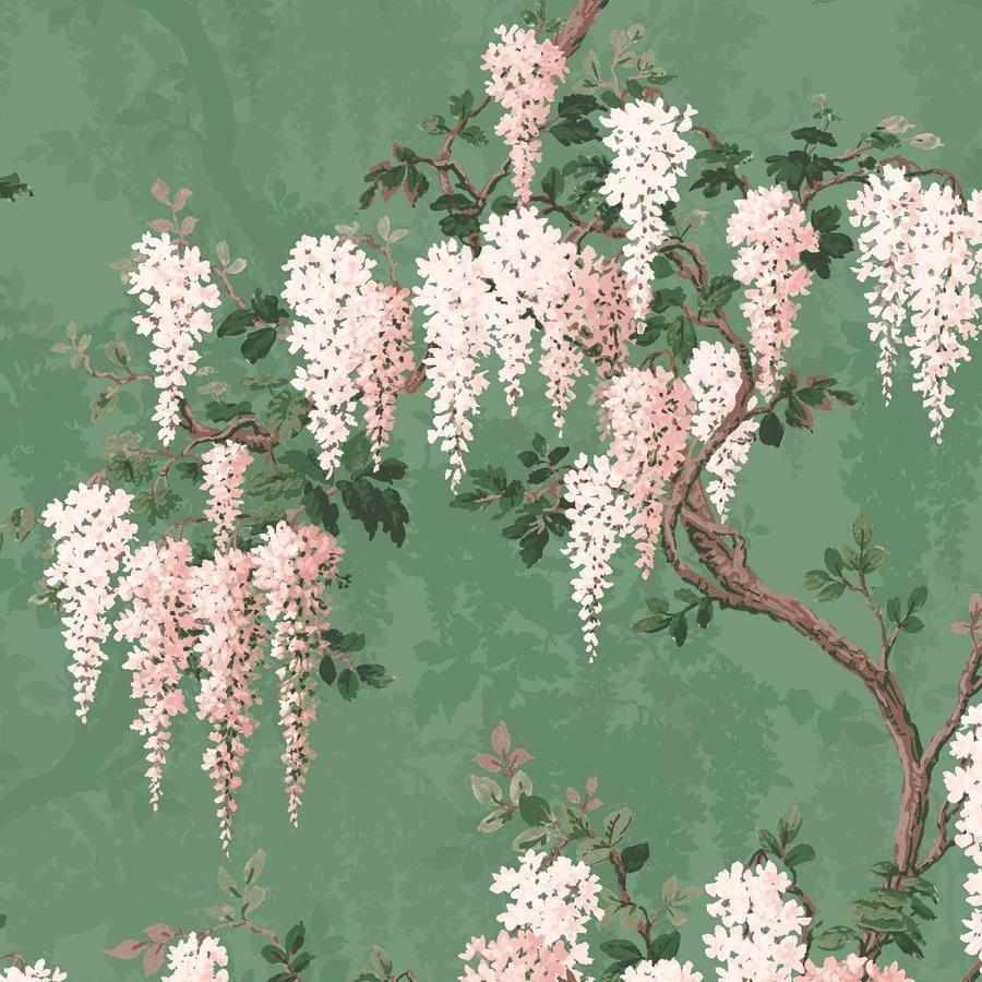 Botanical Wallpapers Top Free Botanical Backgrounds Wallpaperaccess